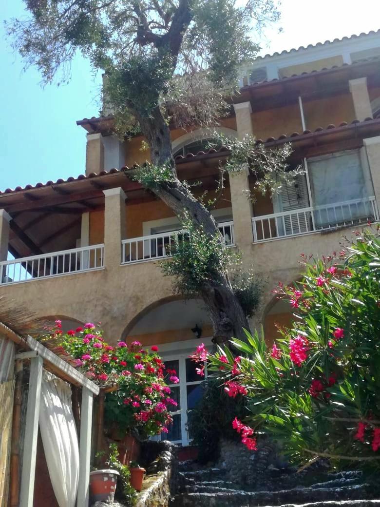 Kohyli Beachfront House Agia Pelagia Chlomou Esterno foto